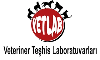 Vetlab Veteriner Teşhis Laboratuvarları